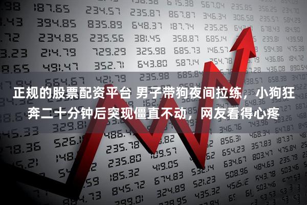 正规的股票配资平台 男子带狗夜间拉练，小狗狂奔二十分钟后突现僵直不动，网友看得心疼