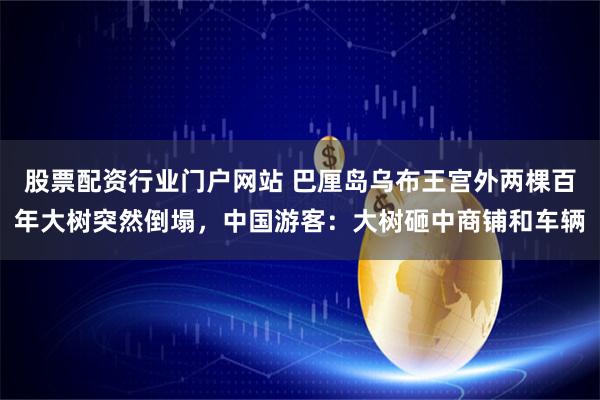 股票配资行业门户网站 巴厘岛乌布王宫外两棵百年大树突然倒塌，中国游客：大树砸中商铺和车辆