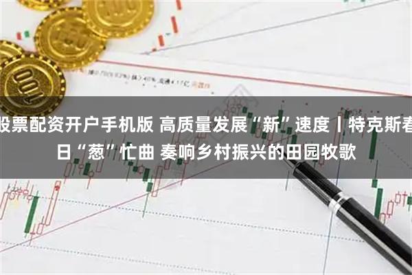 股票配资开户手机版 高质量发展“新”速度丨特克斯春日“葱”忙曲 奏响乡村振兴的田园牧歌