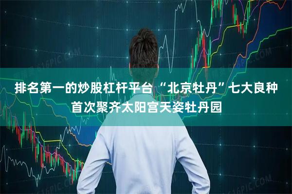 排名第一的炒股杠杆平台 “北京牡丹”七大良种首次聚齐太阳宫天姿牡丹园