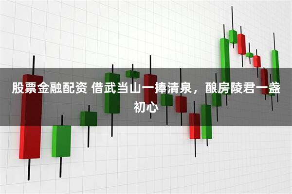 股票金融配资 借武当山一捧清泉，酿房陵君一盏初心